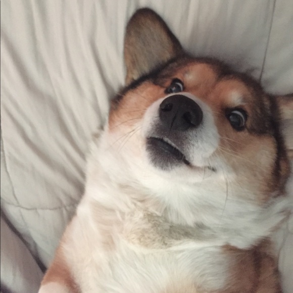 Other - 😀HugeCloset!Vintage,Shoes,Champion,Nike,Polo